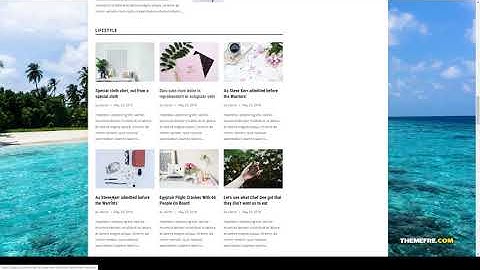 Baloo - Minimal and Modern Blog WordPress Theme wordpress theme 15 Easy Create Website