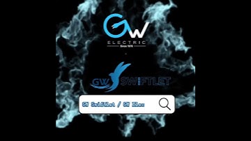 GW Swiftlet GW400 Amplifier