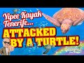 Attacked by a Turtle! Yippee Kayak Tenerife