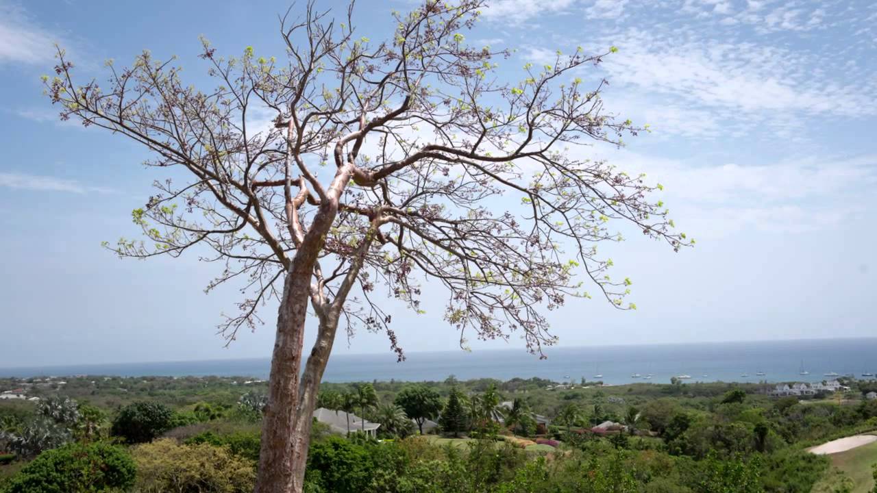 Utica National Key Club 2015 week in review YouTube