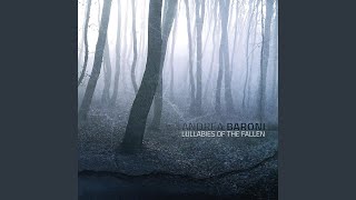 Celebrity Partially Offline Wealth