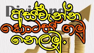 Dividends and Dividend Yield|ලාභාංශ ඵලදාව සහ ලාභාංශ ..