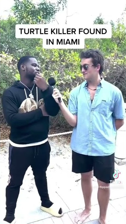 Turtle Killer found in Miami! Subscribe for more funny content!