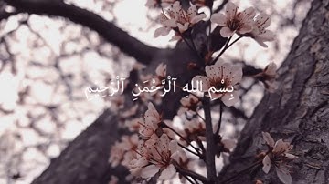 سورة الزلزلة - لفضيلة الشيخ / رضوان العبسي