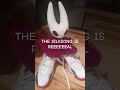 THE SILKSONG IS REAAAAAAL