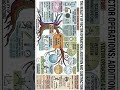PhysicsLife Scalar and vector