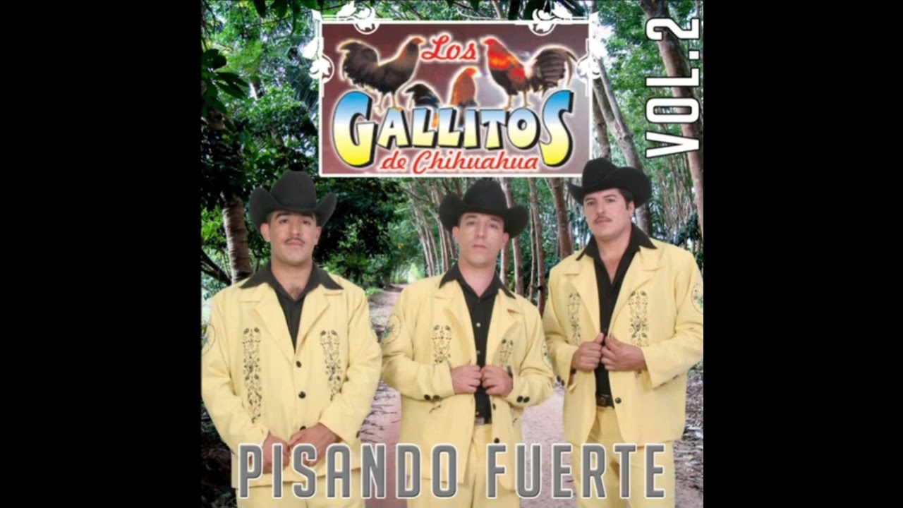 Gallitos De Chihuhua Pista 7