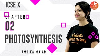 Photosynthesis L-2 | Process of Photosynthesis | ICSE Class 10 Biology Chapter 6 | Umang | Vedantu screenshot 5