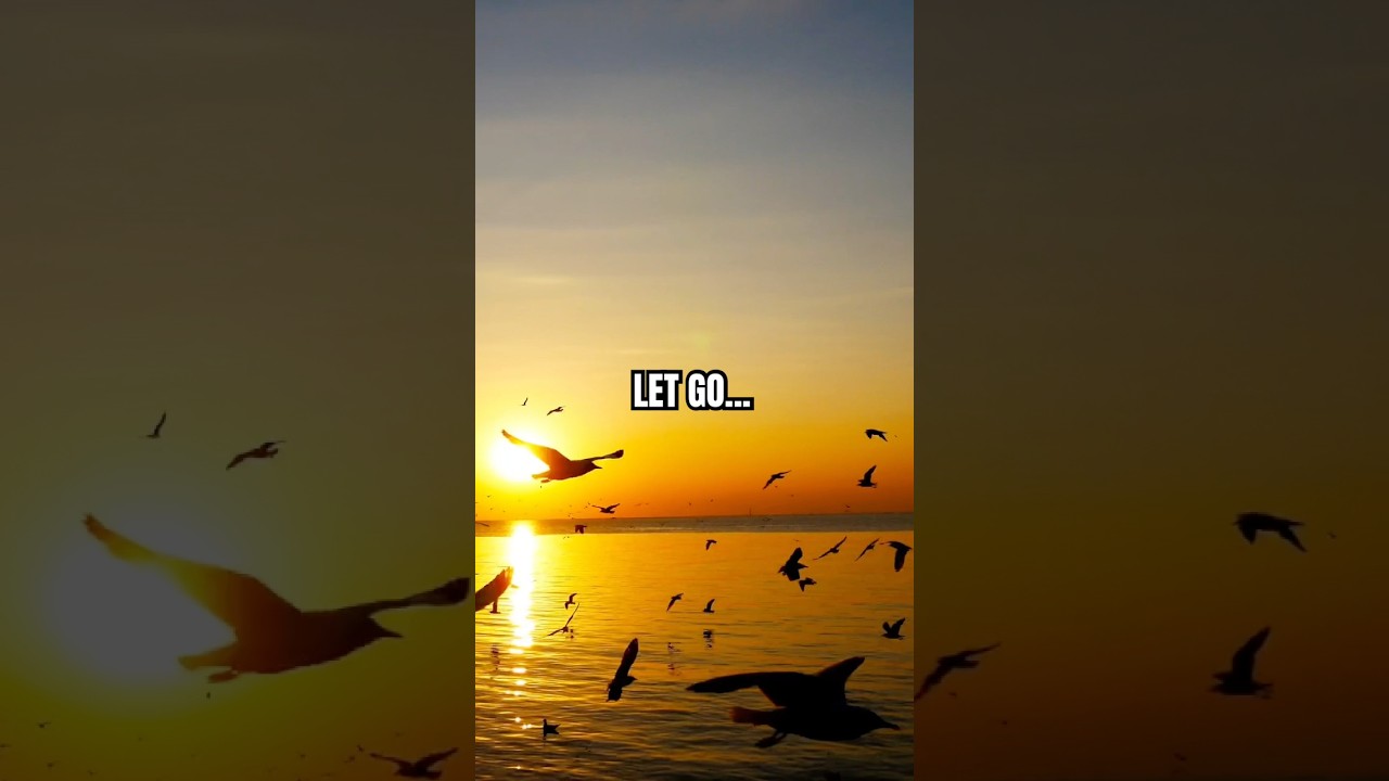 1 Min Sunset Meditation | 7 Inspiring Moments | Full 4 Hour Video 4K 