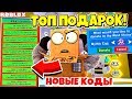 ЭТОТ КВЕСТ Я ДЕЛАЛ НЕДЕЛЮ! КАКОЙ ПОДАРОК Я ПОЛУЧИЛ? СИМУЛЯТОР ПЧЕЛОВОДА! НОВЫЕ КОДЫ! ROBLOX