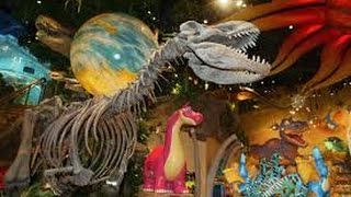 ЗАМУЖ ЗА АМЕРИКАНЦА. РУССКАЯ ЖЕНА ПОШЛА B T-REX CAFE KANSAS CITY