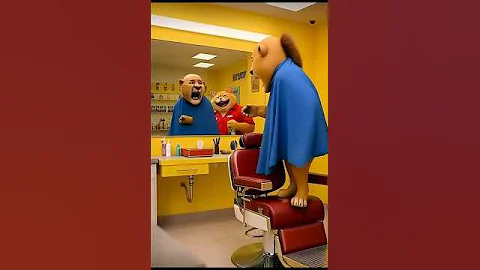 Video 10636731: cat lion, cat haircut