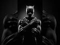 El regreso de Tachalla (Black Panther III ) | Richard Space #marvel