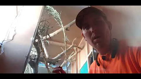 I invoke my 5th amendment right not to answer any question that I feel may incriminate myself.