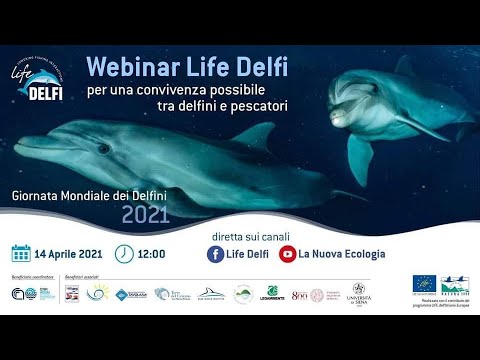 Webinar Life Delfi Youtube