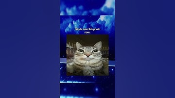 Breaking the YouTube algorithm