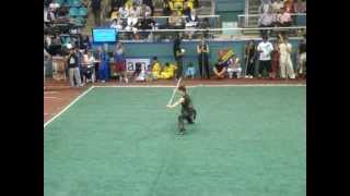 Halil Kalaycı - NanGun - 2011