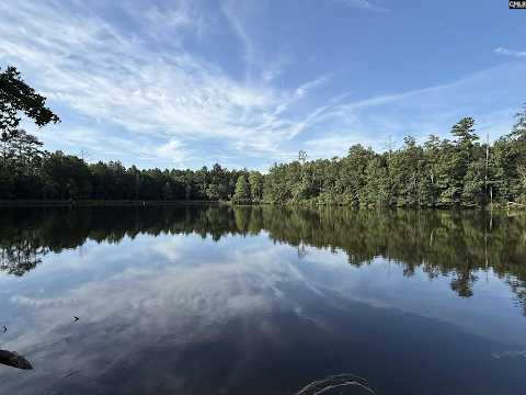 469 Brodie Road, Leesville, SC home video tour