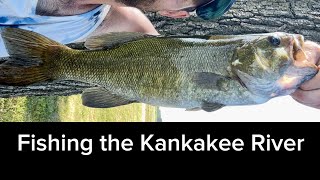 Fishing the Kankakee River #fishing #fishingvideo #riverfishing