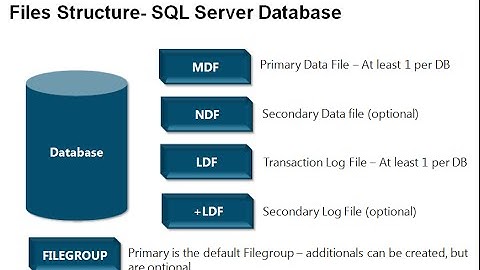 Module 4 - Database Structures
