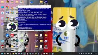 Windows BSOD VM #293