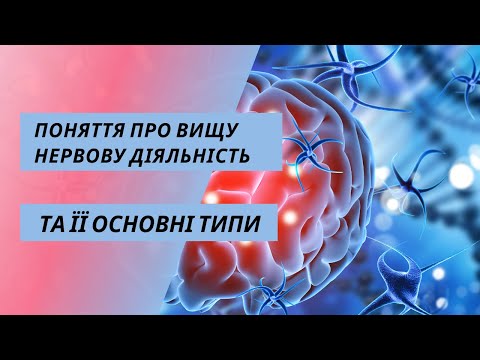 Поняття про вищу нервову діяльність та її основні типи