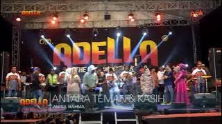 ANTARA TEMAN DAN KASIH _ ANISA RAHMA _ OM ADELLA LIVE DI PENGARENGAN SAMPANG