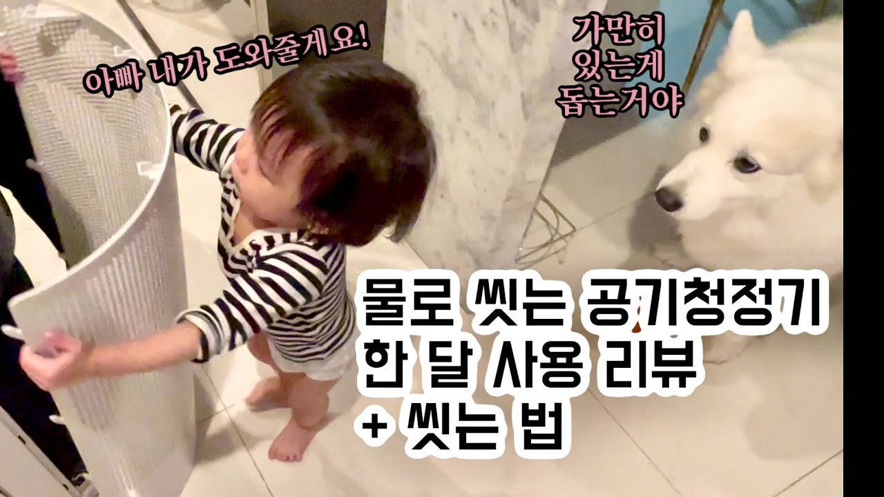 먼지대박] 물로 씻는 SK매직 올클린 