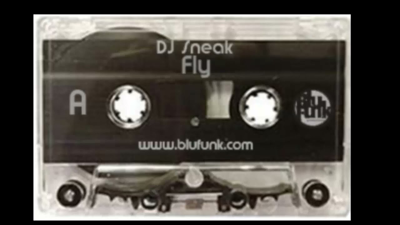Dj Sneak - Fly - YouTube
