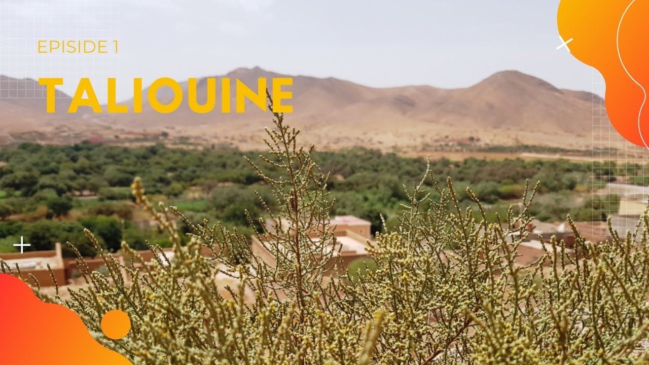 MOROCCO - TALIOUINE    Part. 1