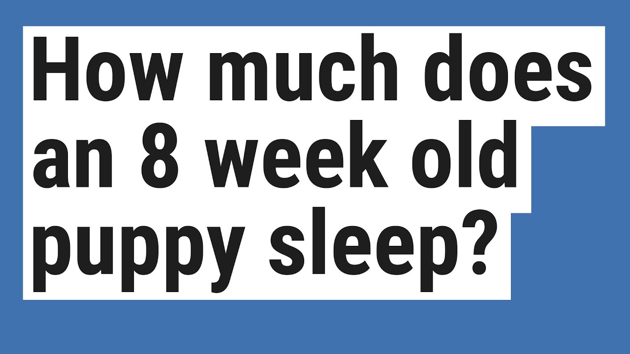 how much should an 8 week old puppy sleep