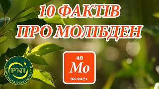 МОЛІБДЕН: 10 ФАКТІВ про елемент ЖИВЛЕННЯ