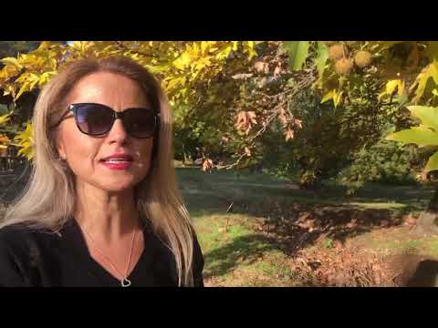 Video: Robinia Siauraplaukė