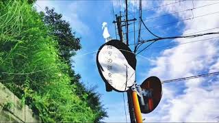 映画にならない視線の先/Dr.stop feat.floweR