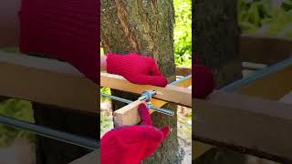 DIY Tree Bench Build