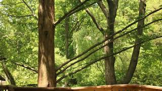 Timelapse experiment 2019-0527