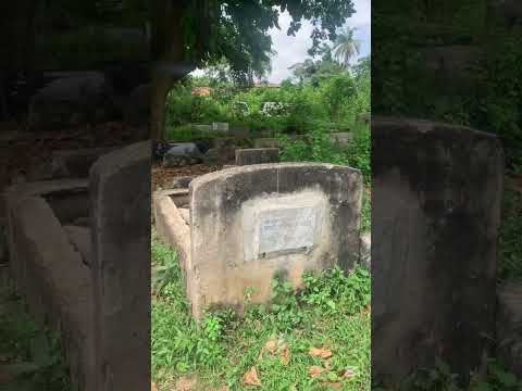 See What Awaits You And I Vlog Duet Viralvideo Nednwoko Vtuber Funny Myvideo 