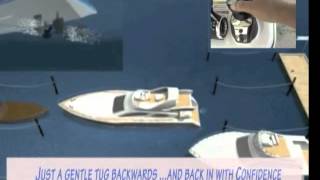 How Xenta Works