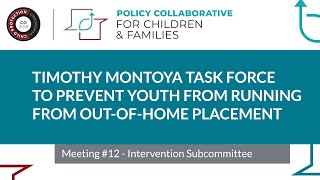 Timothy Montoya Task Force Meeting – Meeting 12 (Intervention Subcommittee)
