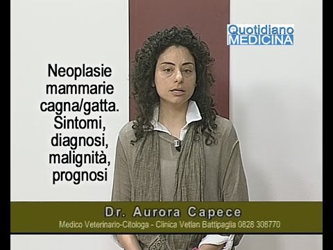 Video: In Che Modo Le Mediane E Le Medie Influenzano La Diagnosi Di Cancro Del Tuo Animale Domestico