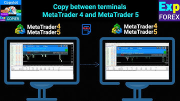 English. COPYLOT. Copier for MetaTrader 4/5 #forex #copytrading #metatrader #trading #Expforex