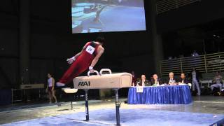 Glen Ishino - Pommel Horse - 2012 Winter Cup Prelims