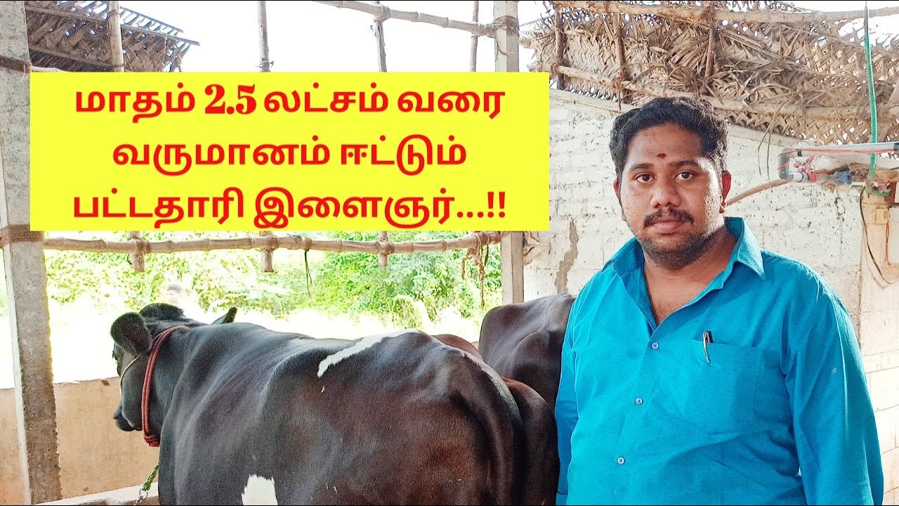 மாட்டு பண்ணை ஆரம்பிக்க வேண்டுமா/How to start Dairy farm in a small place/Success story of Dairy