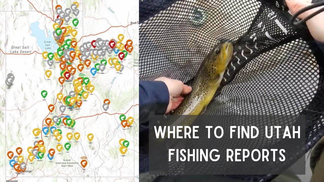 My Favorite Utah Fishing Reports