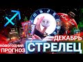 ‼️ СТРЕЛЕЦ ПРОГНОЗ НА ДЕКАБРЬ | ФИНАЛ ГОДА | ЧТО ЖДЕТ ТЕБЯ | ТАРО ГОРОСКОП ! АСТРОЛОГ СЕВЕРЬЯНОВА 🌟