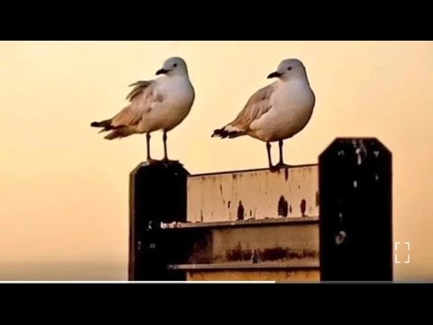 القلق  لا يغير شيء ولكن الثقة بالله تغير كل شيء 