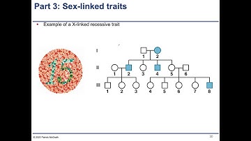 Chapter4 - 4 - Complementation and X-linked