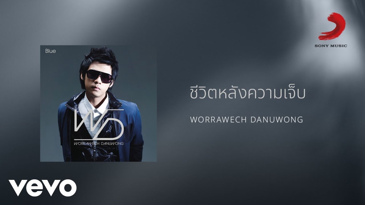 ปกเพลง ชีวิตหลังความเจ็บ — D2B