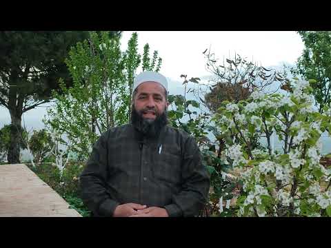 أمثال نبوية مثل القائم على حدود الله والواقع فيها كمثل قوم استهموا على سفينة