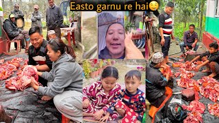 Download Lagu GHARKAI SUNGUR KATIYO😍🐖MA CHITO UTHDA FAMILY KO REACTION🤣 SUNGURKO FUU KHELUM VANEKO TA😔 MP3